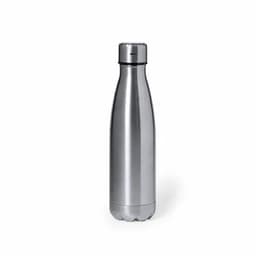 A drink bottle in sleek silver stainless steel with a smooth finish and a screw-on lid. It has a logo on the side.