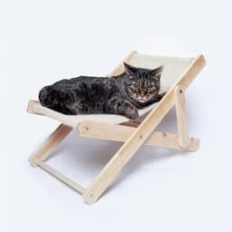 A cat lounging on a wooden folding chair with a fabric seat, featuring a natural colour scheme.