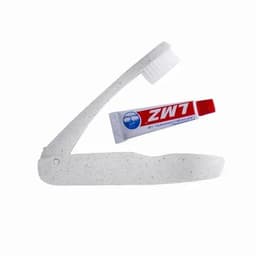 A travel toothbrush in a grey case with a tube of toothpaste. The toothbrush features a white bristle head.