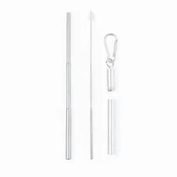 A drink bottle straw set in silver, featuring a collapsible straw, cleaning brush, and carrying case with a clip.