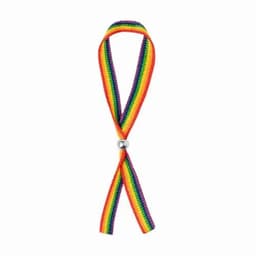 A rainbow-coloured ribbon with a silver clasp at the centre, creating a looped design. It features vibrant stripes.