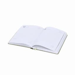 An open planner with blank pages and a green cover, featuring a ribbon bookmark.