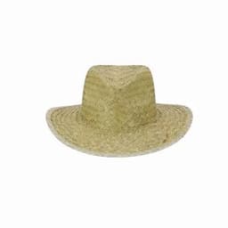 A straw hat in a natural tan colour with a wide brim and a structured crown.