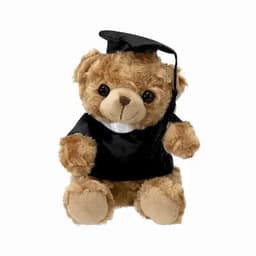 A plush teddy bear wearing a black graduation cap and gown, featuring light brown fur and black safety eyes.