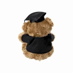 A teddy bear dressed in a black graduation gown and cap, facing away from the viewer.