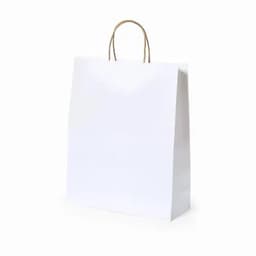 A white paper shopping bag with a brown twisted handle, featuring a plain design.