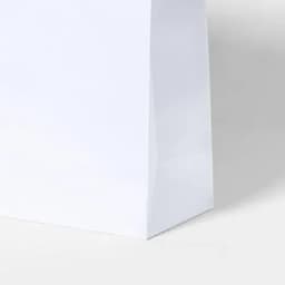A white paper bag with a glossy finish and no visible handles or branding.