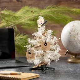 A small white Christmas tree with handwritten tags sits on a desk alongside a globe and a laptop.