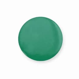 A green circular promotional item with a glossy finish, featuring a logo.