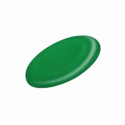 A green frisbee with a smooth surface and rounded edges. It features a branding logo.