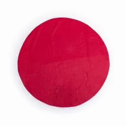 A round, red blanket or throw with a plush texture. It features a clean, simple design and is well-finished around the edges.