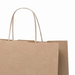 A brown paper shopping bag with a simple design and two handles. The bag is empty and unmarked.