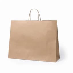 A large brown paper shopping bag with sturdy handles and a plain design.