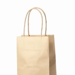 A brown paper bag with two twisted handles, empty and unbranded.