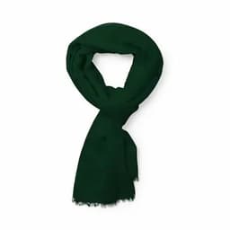 A green scarf with a soft texture and frayed ends, showcasing a simple, elegant design.