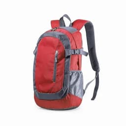 A red and grey backpack with adjustable straps and a zippered front pocket. It features a mesh side pocket.