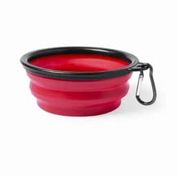 A collapsible pet bowl in red with a black rim and a carabiner clip for easy attachment.