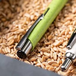 A pen with a green barrel rests among light brown grains, featuring a shiny silver clip and tip.