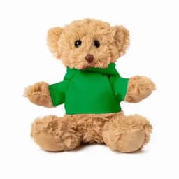 A teddy bear with a tan fur body, wearing a green hoodie, sitting with its arms outstretched.