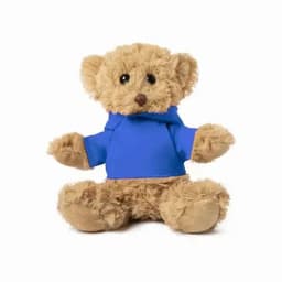A plush teddy bear with brown fur wearing a blue hoodie, sitting upright with outstretched arms.