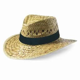 A straw hat with a black band, featuring a wide brim and a woven pattern, ideal for sunny outdoor wear.