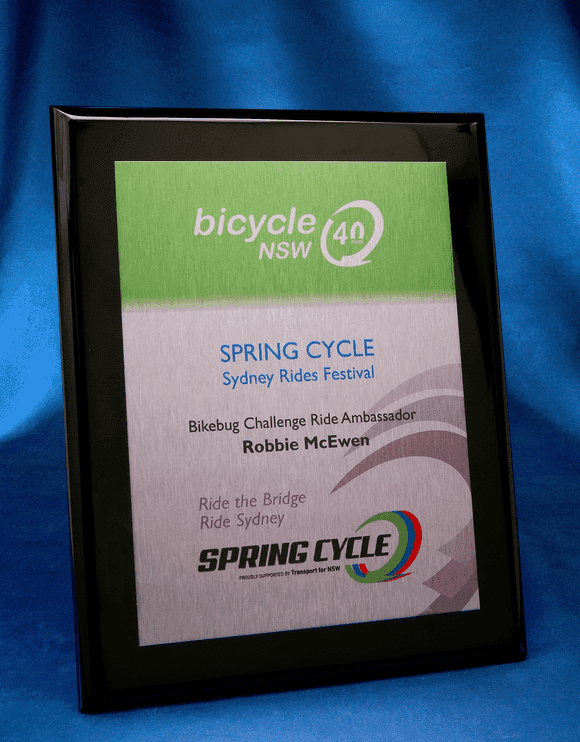 psgb_plaque-plaques