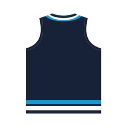 A navy blue cricket jersey vest featuring a striped border in blue and white, and a round collar.