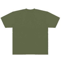 An olive green t-shirt with short sleeves and a relaxed fit, featuring a logo.
