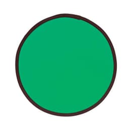 A green fold-up flying disc with a brown trim and a logo in the centre.