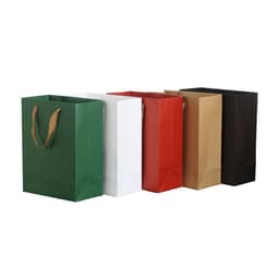 A set of five large crosswise paper bags in green, white, red, brown, and black, featuring fabric flat handles.
