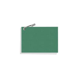 A7 pearlescent index cards in green, secured by a silver ring.