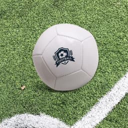 A mini soccer ball in white with a logo, resting on green artificial grass beside a white line.