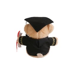 A plush toy bear wearing a black graduation gown and cap, with a red ribbon attached.