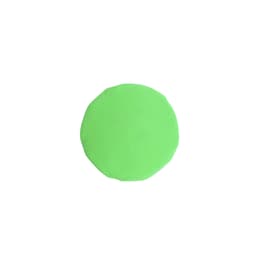 A green disc with a soft texture, featuring a logo, suitable for outdoor leisure activities.