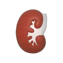 A large kidney-shaped stress reliever in red and white with a smooth finish and a logo.