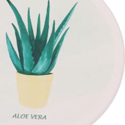 A coasters featuring a green aloe vera plant in a yellow pot, with a light background. It has a logo.