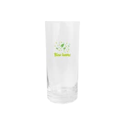 A clear beer glass with a simple logo featuring green leaves and text.