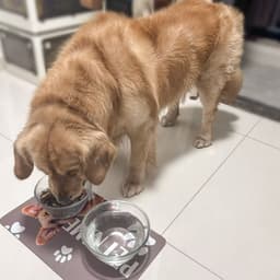 A pet feeding mat with a dog eating from a bowl, featuring a light brown colour and a paw print design.