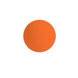 An orange lacrosse ball with a smooth surface, featuring a logo at its centre.