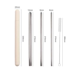 A straw set featuring four stainless steel straws in various sizes, with a cleaning brush and a light-coloured case.