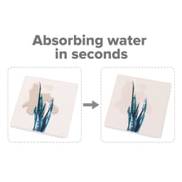 A square coaster with a plant design, featuring a water-absorbent surface. The background is light, with blue and green accents.