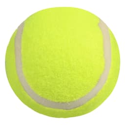 2 9/16" Pet Tennis Ball Toy