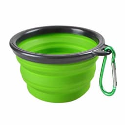 A collapsible pet bowl in vibrant green with a black rim and a metal carabiner attachment.