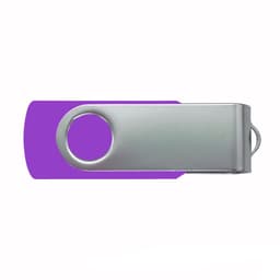 A purple 2G swivel USB flash drive with a silver metallic clip and a circular opening.