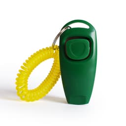 A green pet training clicker with a yellow coiled wrist strap.