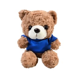 Plush 10" Teddy Bear with T-shirt
