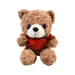 Plush 10" Teddy Bear with T-shirt