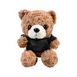 Plush 10" Teddy Bear with T-shirt
