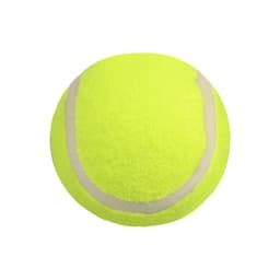 1 3/4" Pet Tennis Ball Toy