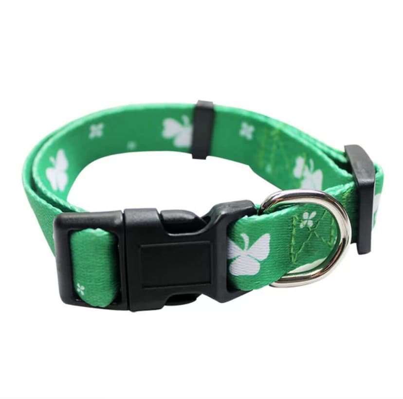 dog_collar-5.jpg